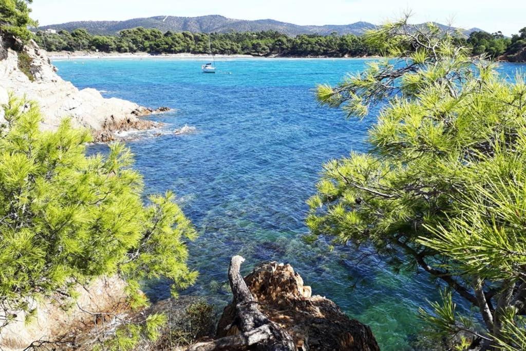 T2 Clim Parking, Entre Nature Et Plage Hyères Exteriér fotografie